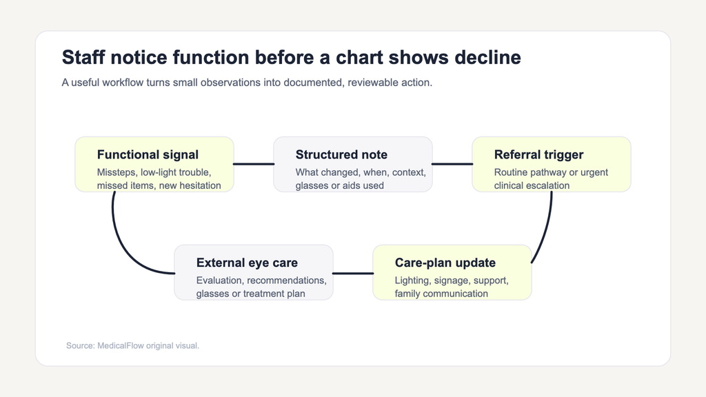 Loop diagram showing how staff observations about possible vision changes are documented, reviewed, referred to eye care, and translated into care-plan updates